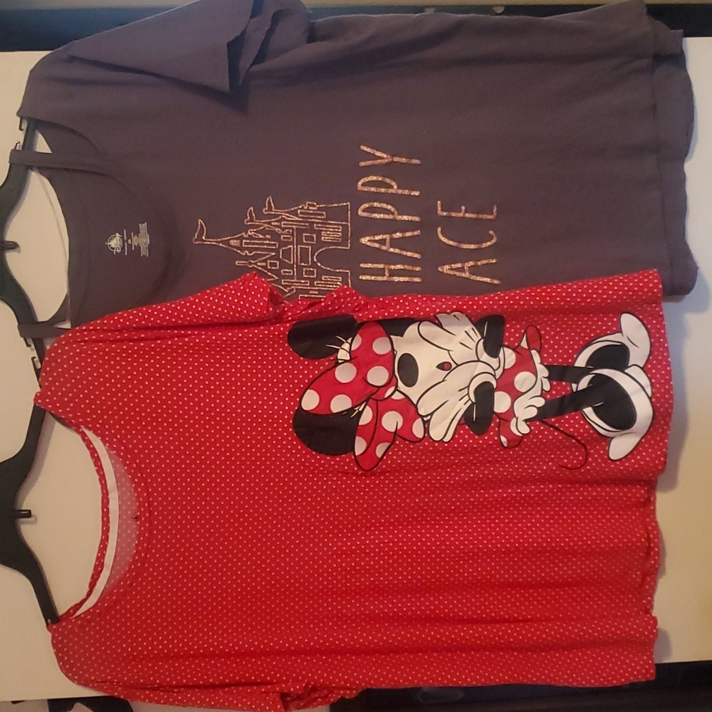 2 Disney Parks tops 2X and 3X